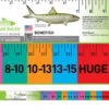 Bonefish Release Ruler -FlyCast Gear Store bonefish release ruler 37728.1650940008