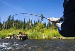 Thomas & Thomas Avantt Series Fly Rods -FlyCast Gear Store thomas thomas avantt series fly rods 24051.1651330434