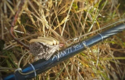 Thomas & Thomas Avantt Series Fly Rods -FlyCast Gear Store thomas thomas avantt series fly rods 92418.1651330433